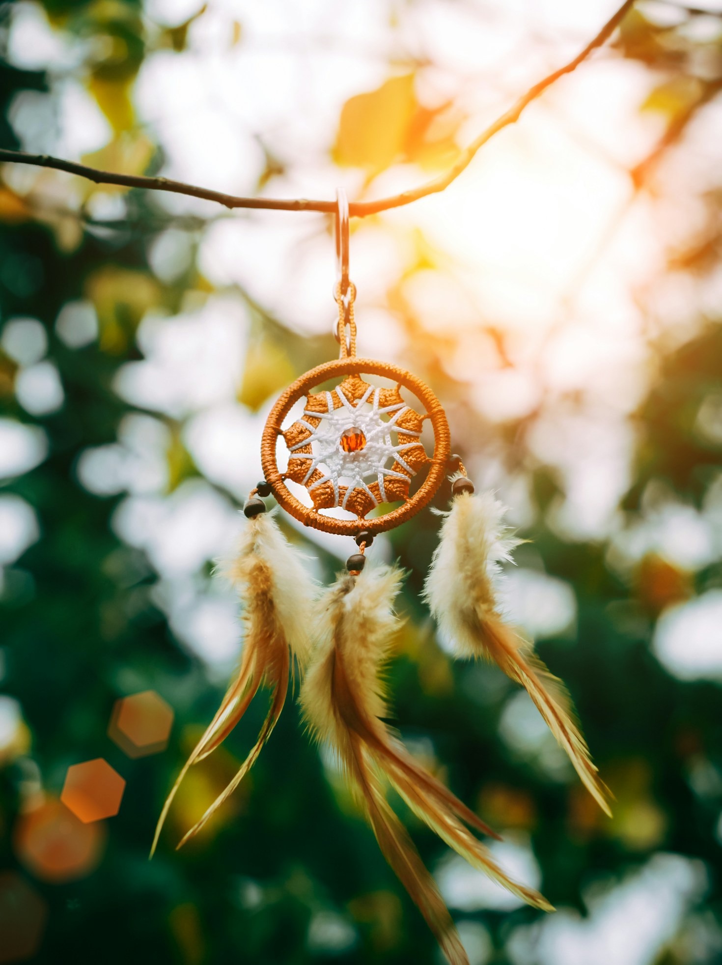 An Exploration of ‘The Way We Live Today’